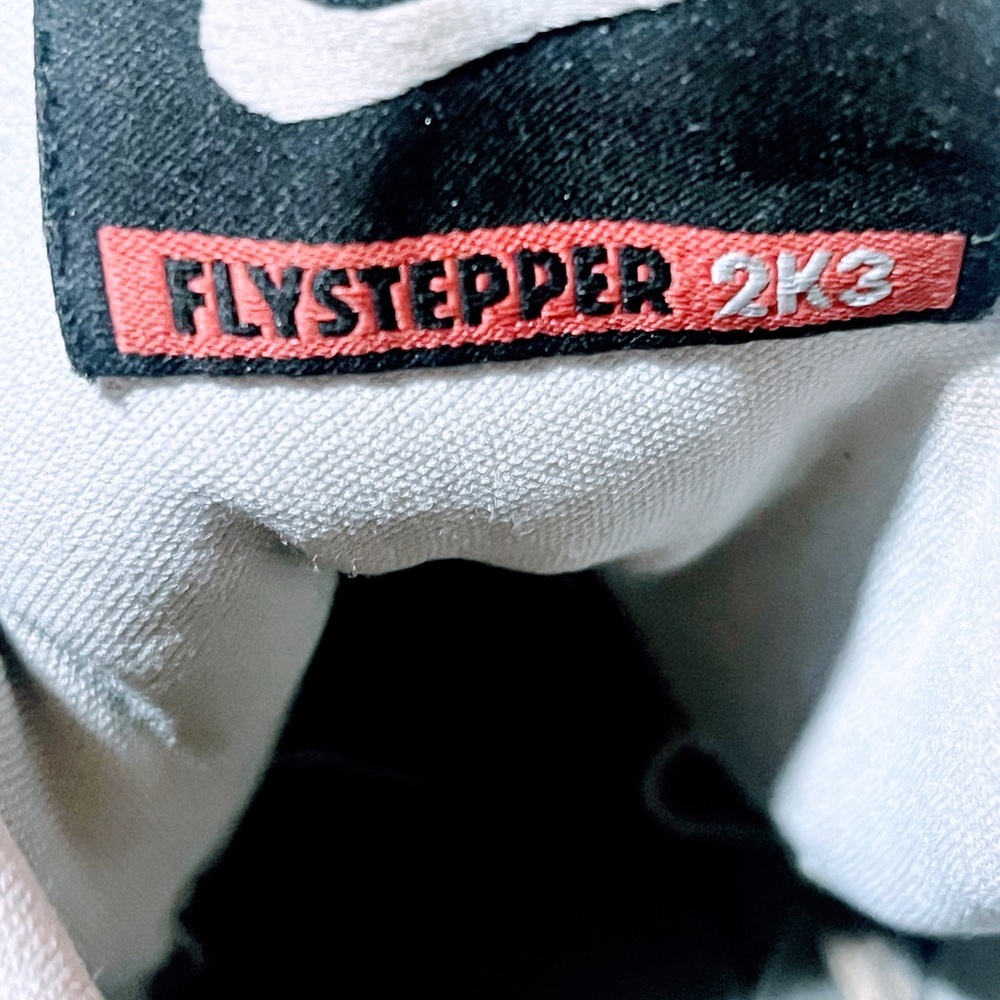Men's BACK 2 THE FUTURE - NIKE “FLYSTEPPER 2K3” Gray, Beige and White Sneakers - Picture 9 of 11